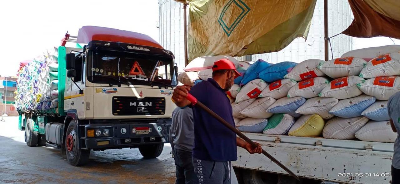 وكيل وزارة التموين بكفر الشيخ.. إجمالى المورد من الأقماح 86589 طن و210  كجم